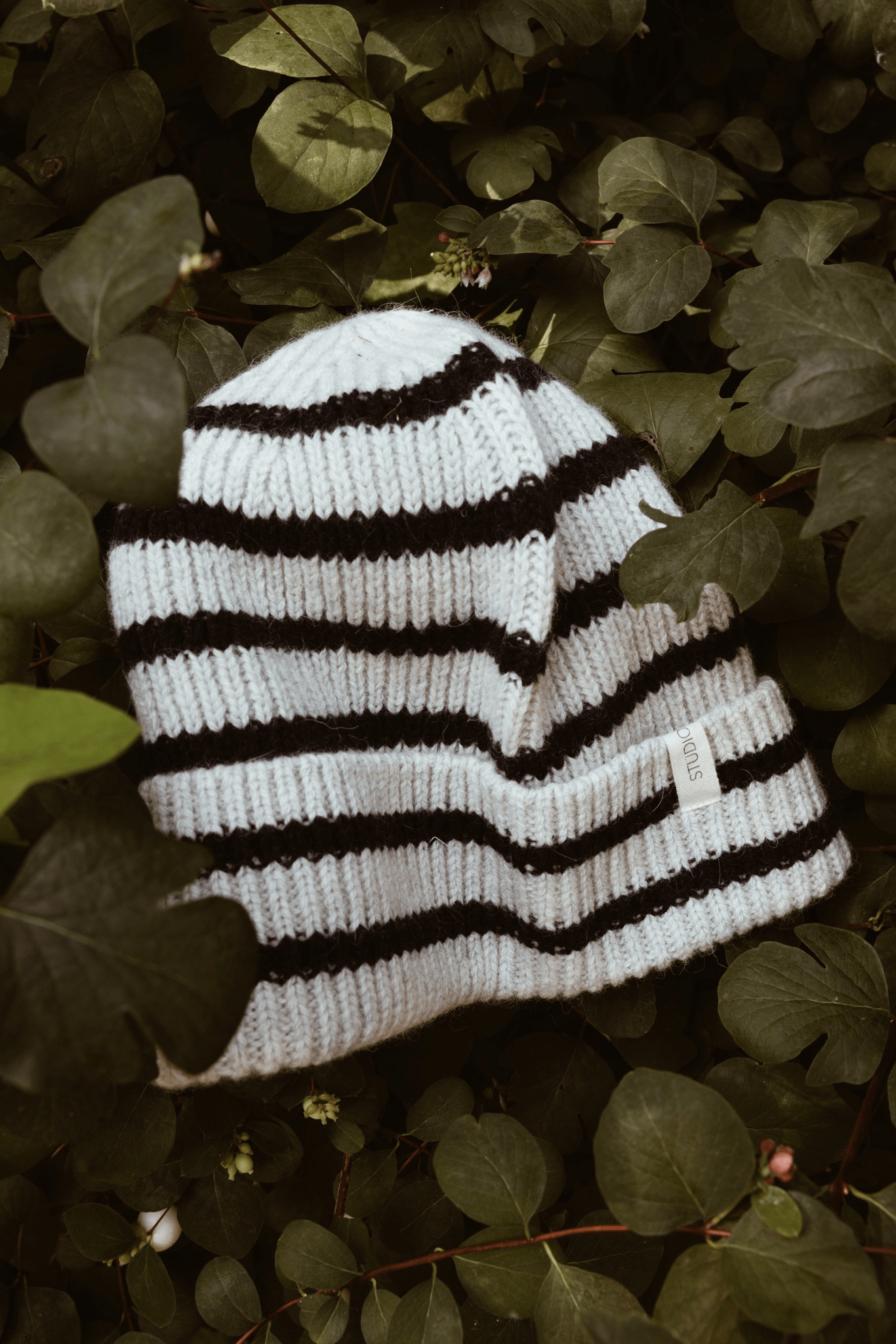 Lucas Beanie - Sailor Creme